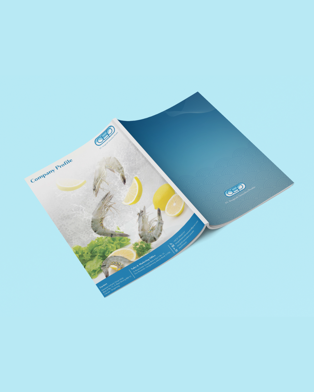 Frozen Food company profile